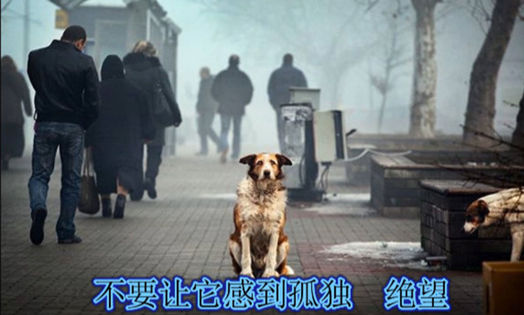 汉沽汉沽爱影圈微博微信转发案例
